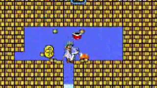 Brutal Mario, Plains Star