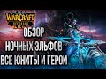 НОЧНЫЕ ЭЛЬФЫ ОБЗОР: Первый Взгляд в Бете Warcraft 3 Reforged