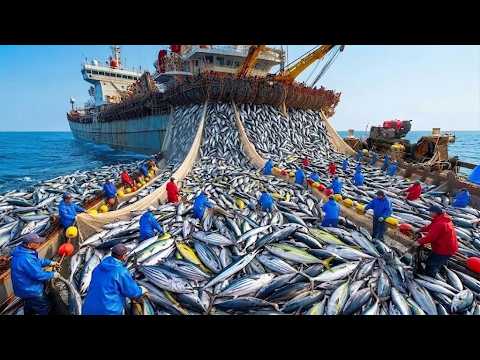 EPIC HAUL! Pulling TONS of Cod Up From the Deep!