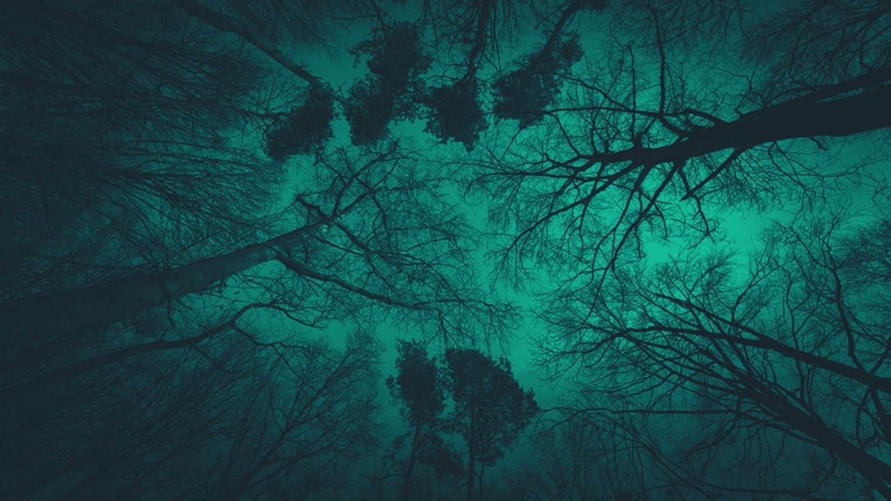 wandering (prod. kaessun)