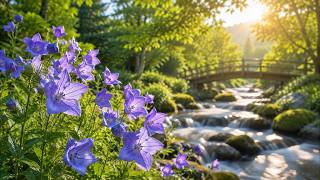 Wake Up Somewhere Beautiful 🌿 Gentle Morning Music for Peace, Focus & Positive Energy