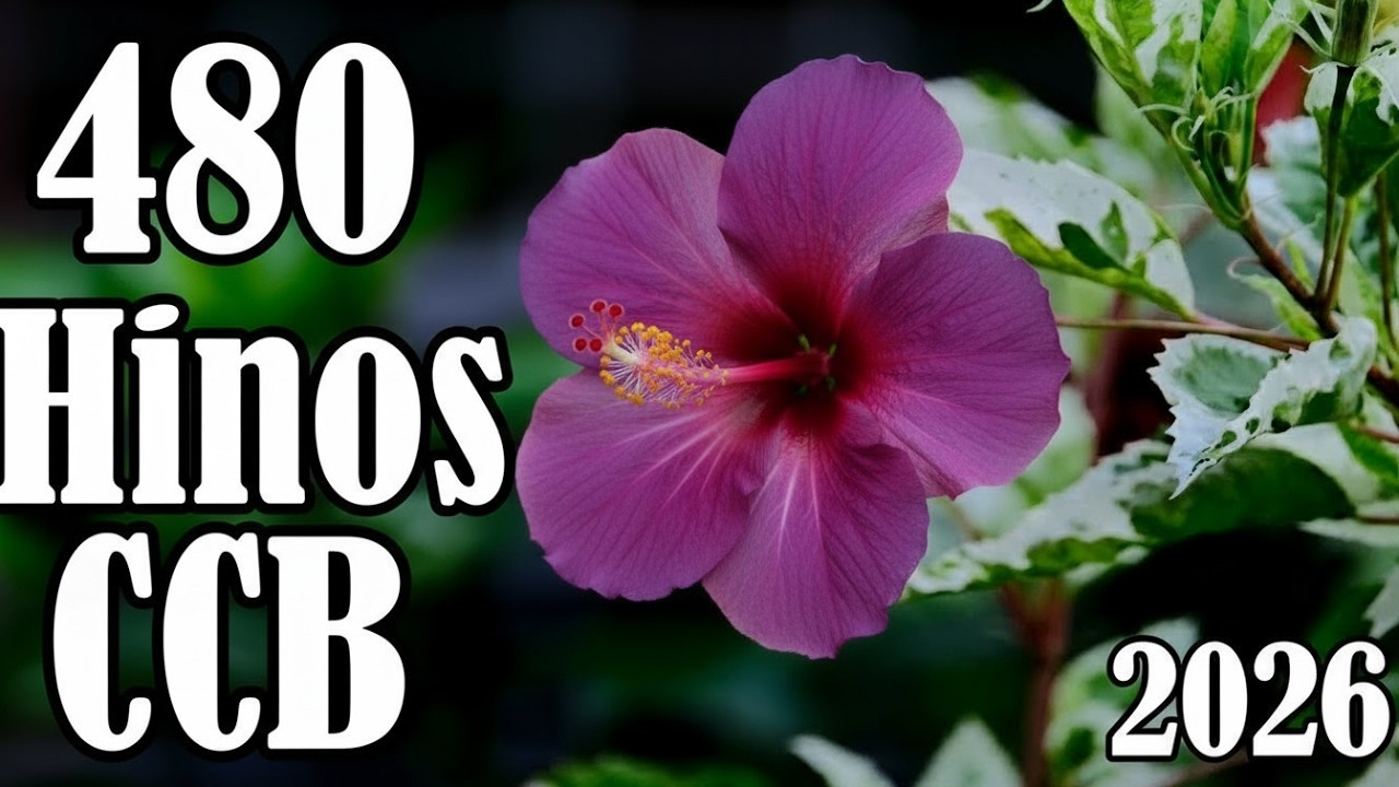 480 Hinos  CCB - Hinário 5 - Hinos 1,2,3,4,5,6,7,8,9,10,11,12   28/02/2026