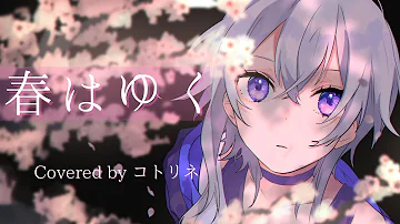 春は行く تحميل Download Mp4 Mp3