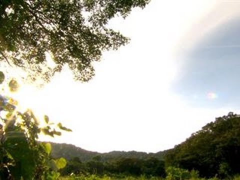 Survivor: Cagayan - Latasha Arrives At Ponderosa jeff wittek