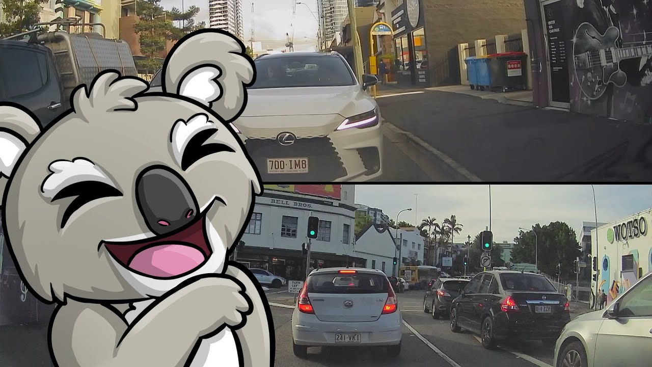 Do Australians keep kangaroos as pets? Driving in Australia YouTube