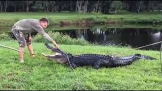 Worlds dumbest people getting bit and eaten alive by crocodiles and alligators video compilation by LionHub 81,396 views 4 years ago 4 minutes, 51 seconds