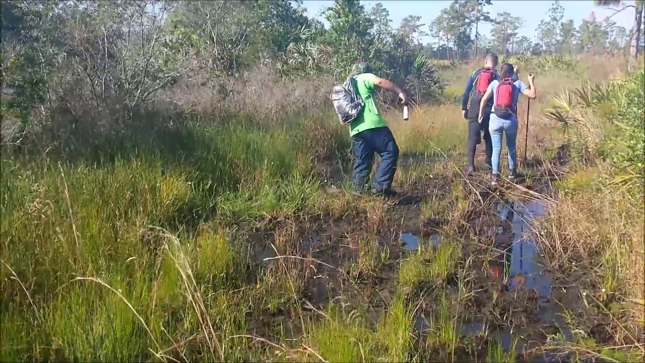 Hal Scott Preserve, Bithlo, Florida