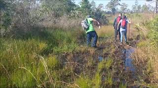 Hal Scott Preserve, Bithlo, Florida
