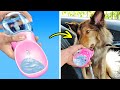 スマートなペットの飼い主のためのベスト・ガジェットとクラフト
