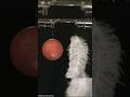 This is how Feathers and a ball fall in a vcuum chamber. #gravity #science #physics #experiment