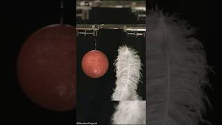 This is how Feathers and a ball fall in a vcuum chamber. #gravity #science #physics #experiment