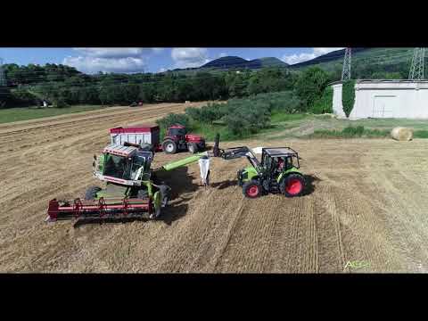 Trebbiatura Grano e