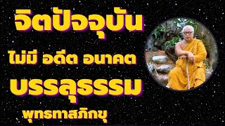 จิตปัจจุบัน ไม่มีอดีต อนาคต เส้นทางบรรลุธรรม พ้นทุกข์ พระนิพพาน เสียงธรรม โดยหลวงพ่อพุทธทาสภิกข