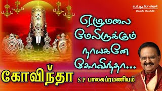 கோவிந்தா திருப்பதி பக்திபாடல்கள் | Thirupathihits | subam AudioVision #perumalsongs #devotionalsongs