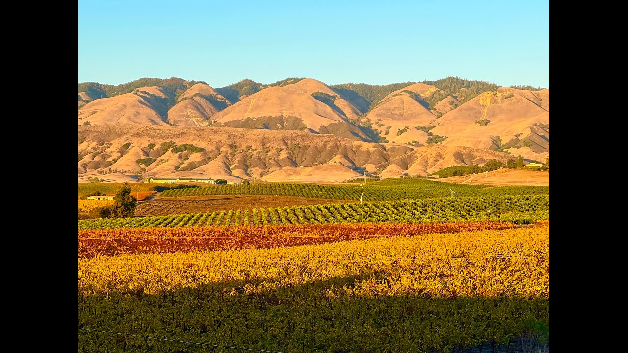 king-city-to-slo-2023-youtube