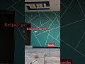 Elevation paint &amp; main door wall design #viral #ytshort #haydrabad #asianpaint #youtubeshort #kripal