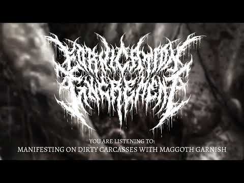 Putar Manifesting On Dirty Carcasses With Maggots Garnish - Fornication Excrement