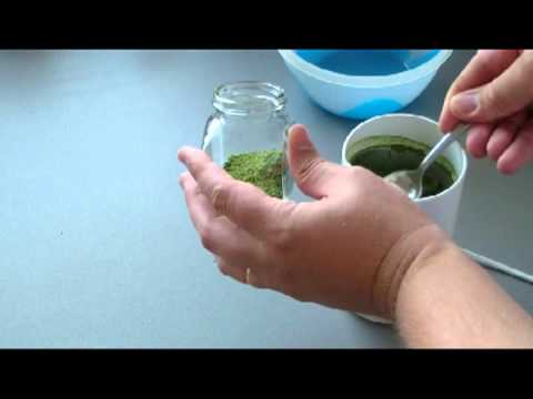 Stevia- How To Sweeten Tea With Home Grown Raw Stevia