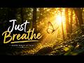 Sacred Breath: Unlock Inner Peace with Meditation &amp; Mindfulness Music for Stress-Free Living#fyp