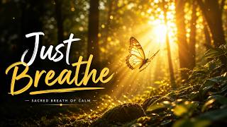 Sacred Breath: Unlock Inner Peace with Meditation &amp; Mindfulness Music for Stress-Free Living#fyp