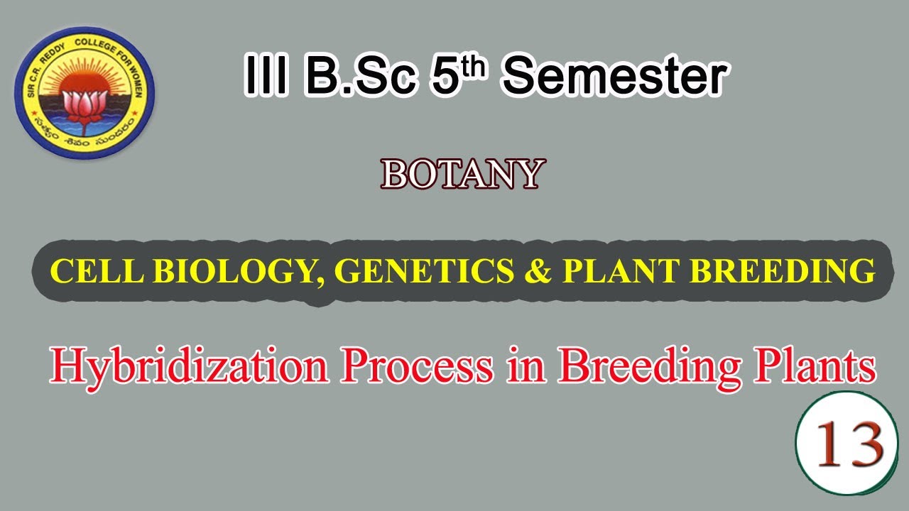 13. III BSc 5th SemCELL BIOLOGY, & PLANT BREEDING