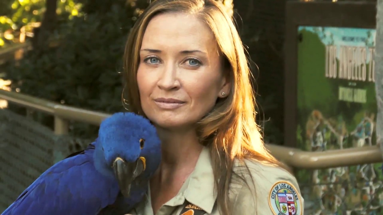 Join Us In Saving Animals From Extinction - YouTube