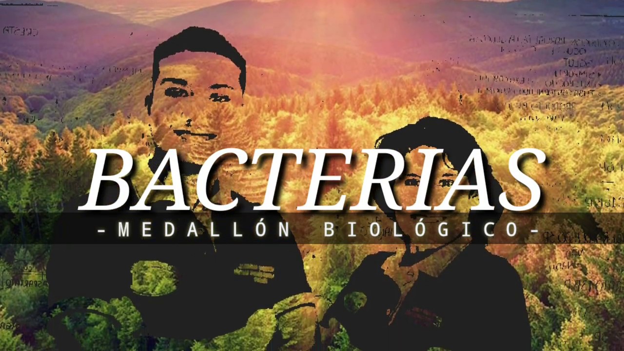 BACTERIAS