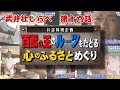 武井壮ルーツの旅