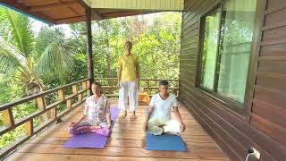 хатха йога онлайн, видео урок