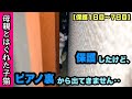 ③母親とはぐれた子猫をやっと保護したけど‥ピアノの裏に逃げて出てきません‥【保護1日目〜7日目】