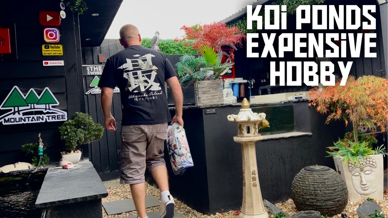 KEEPING KOI FISH CAN BE EXPENSIVE BUT IT'S GREAT!!!! UPDATE ON MY KOI!