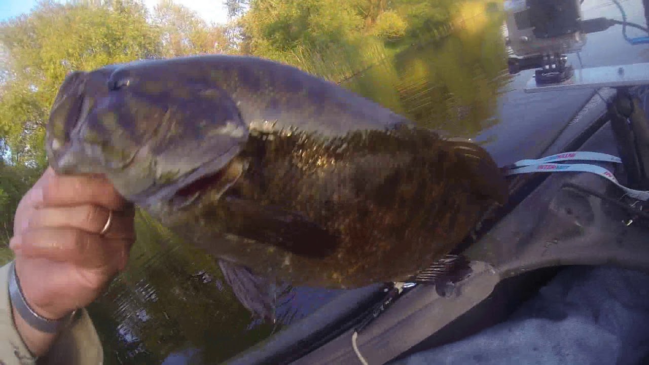 Big smallmouth on the Rum River YouTube
