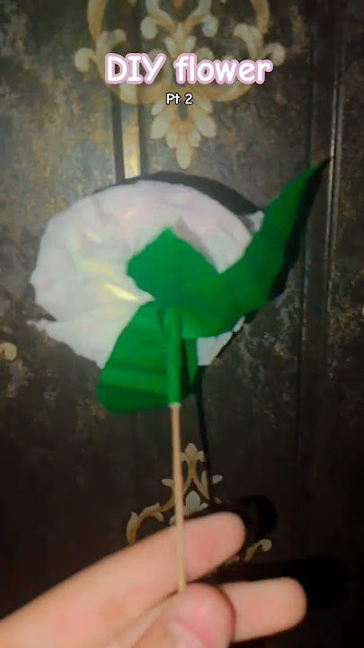 https://youtube.com/shorts/3d-PiH8gmJ0?si=2oIXW0hWPgDYJUJm diy flower 💐🌹