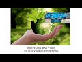 WEBINAR / Sostenibilidad y RSC en los viajes de empresa