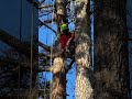 Happy Friday from the Northside crew! 🌳💪 #atlanta #treeservice #treetrimming #treeremoval #georgia