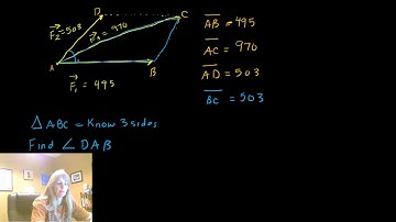 MAT1093 Vector Application (Newtons)