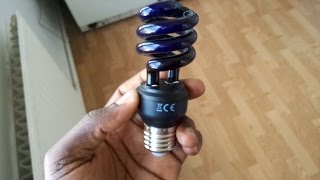 Velleman's 15W black light bulb review (lumière noire)