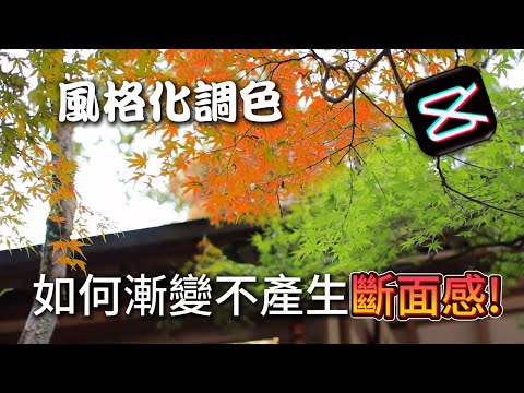 套電影濾鏡 風格調色 如何漸變 不產生斷面感#剪映#電影調色#漸變#風格化#剪輯
