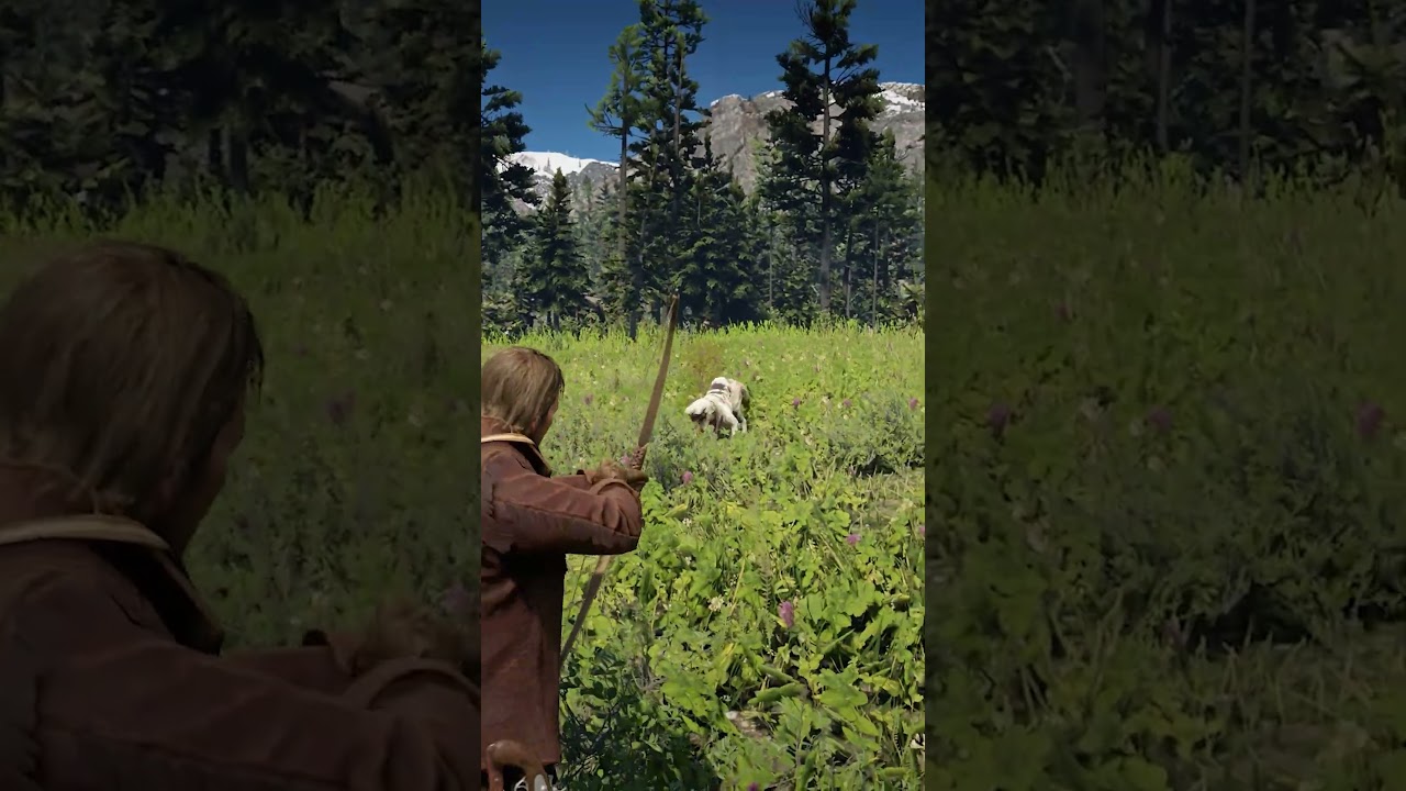 Навыки выживания в Red Dead Redemption 2, стр. 1244 