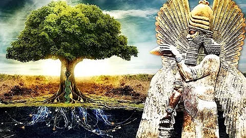 ¿El Árbol de la Vida es ADN?