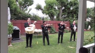 Mom's surprise serenade