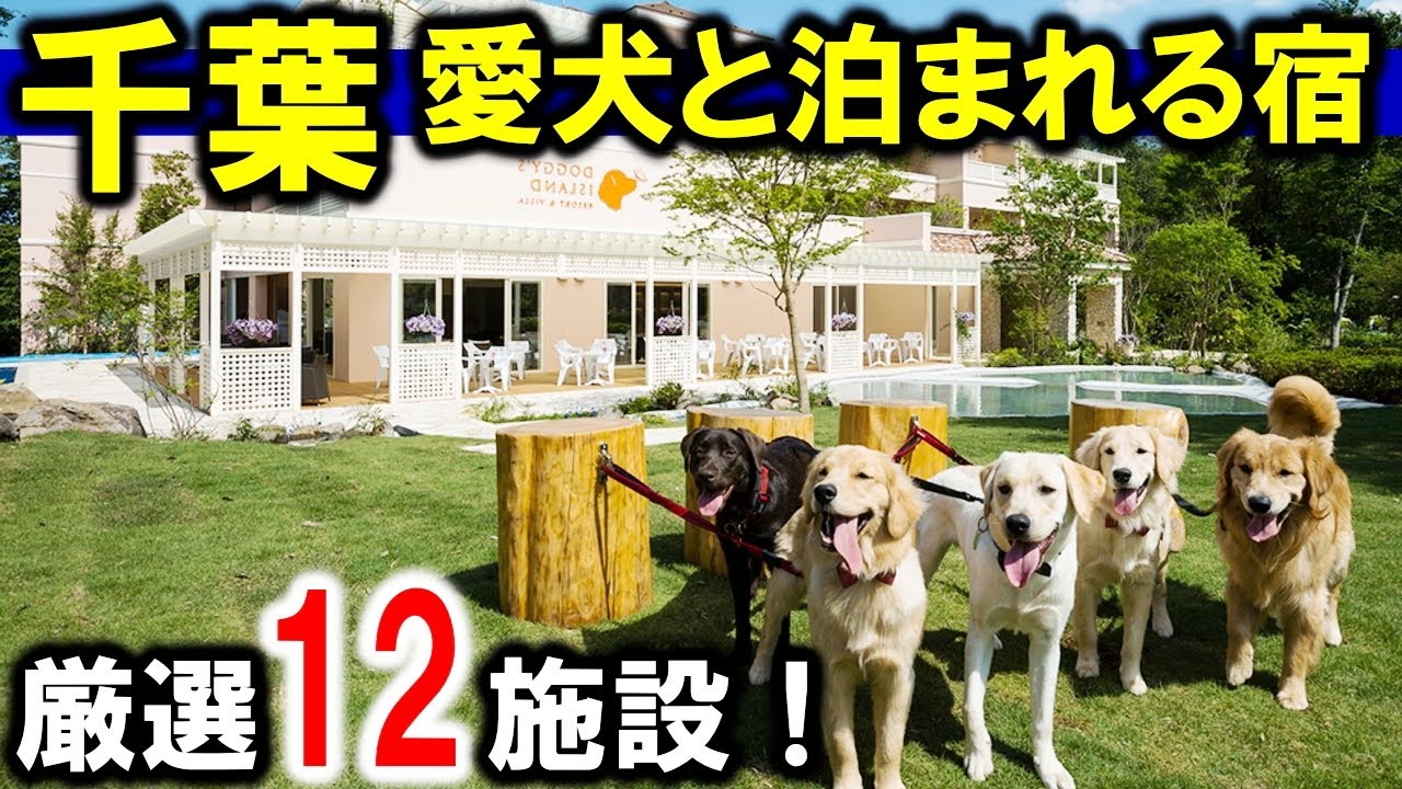 千葉県・関東/ペット・愛犬と泊まれる宿/ホテル＆旅館12選！関東でペットと旅行や観光におすすめ！わんちゃん大喜び！ドッグラン・ペット用ごはん・グルーミング設備付きなど☆