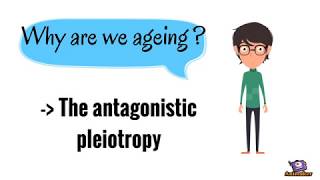 The Theory of Antagonistic Pleiotropy