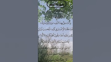 SURAH AL BALAD BEAUTIFUL VOICE 😍 سورة البلد #egzonibrahimi #surahalbalad #surahbalad #albalad