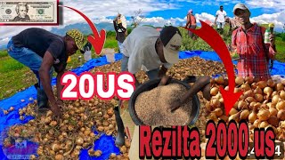 Download Lagu Mwen te komanse nan fè Jaden avek selman 20 dola nan 2 ans men rezilta. MP3