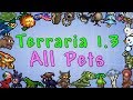 Terraria 1.3  - All Pets!
