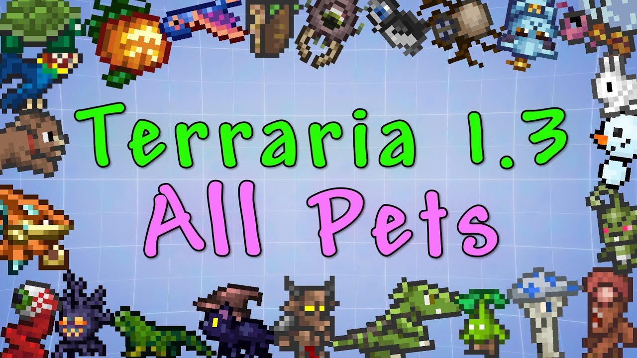What do pets do in terraria (112) фото