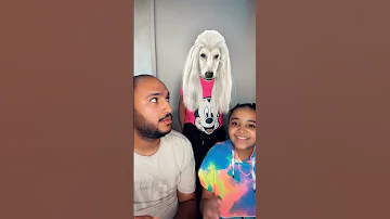 الكلب اللولو بيغني Comedy Shafa Funny Shorts أبو چوكا 
