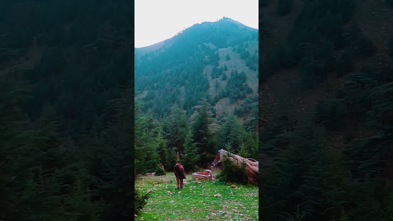 Chelia, Aurés 🌿 🍂 🇩🇿                     