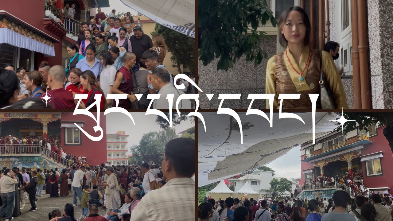 ཕུར་པའི་དབང།vajrakilaya puja 2025 at sakya monastery in Dehradun #blessed #viral #explore 